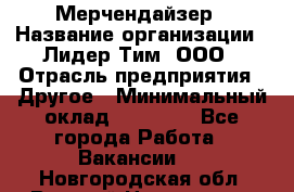 Мерчендайзер › Название организации ­ Лидер Тим, ООО › Отрасль предприятия ­ Другое › Минимальный оклад ­ 20 000 - Все города Работа » Вакансии   . Новгородская обл.,Великий Новгород г.